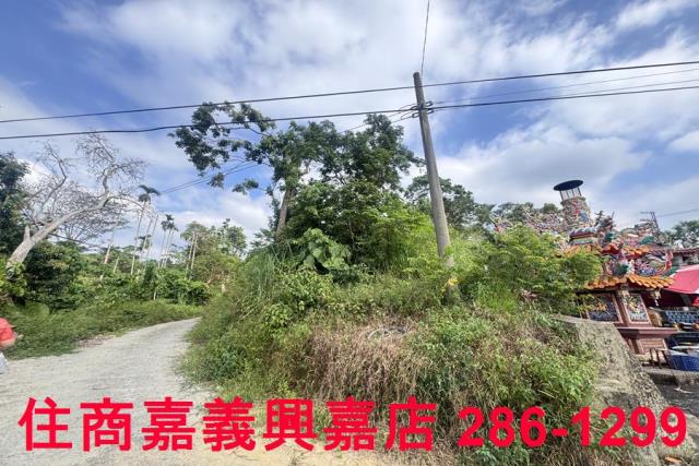 嘉義番路農地-2