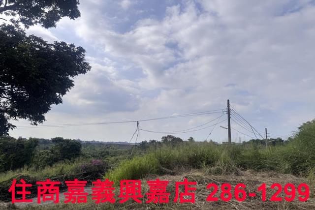 嘉義番路農地-3