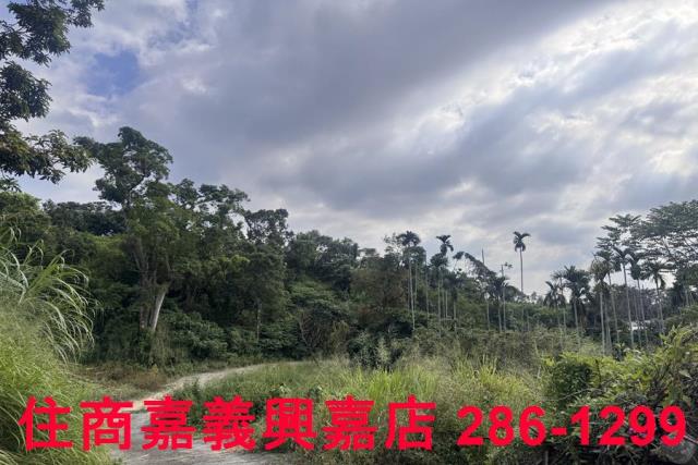 嘉義番路農地-4