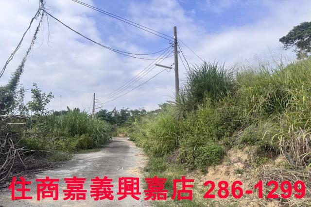 嘉義番路農地-5