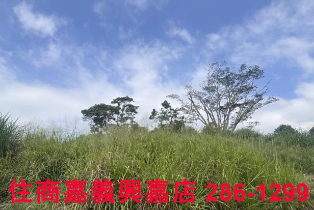 嘉義番路農地-8
