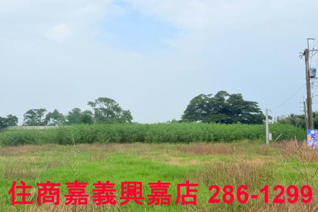 水上農地-6