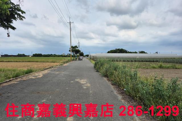 嘉義民雄農地-0