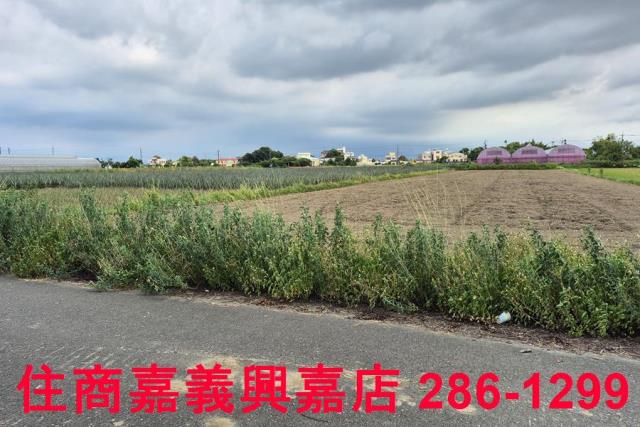嘉義民雄農地-1