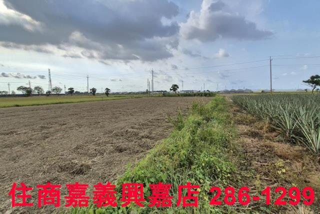 嘉義民雄農地-3