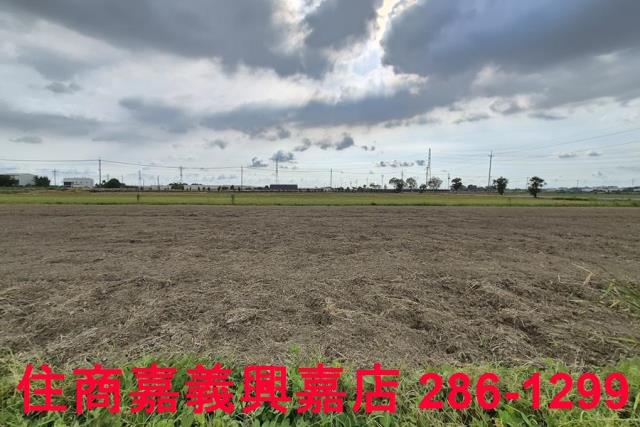 嘉義民雄農地-4