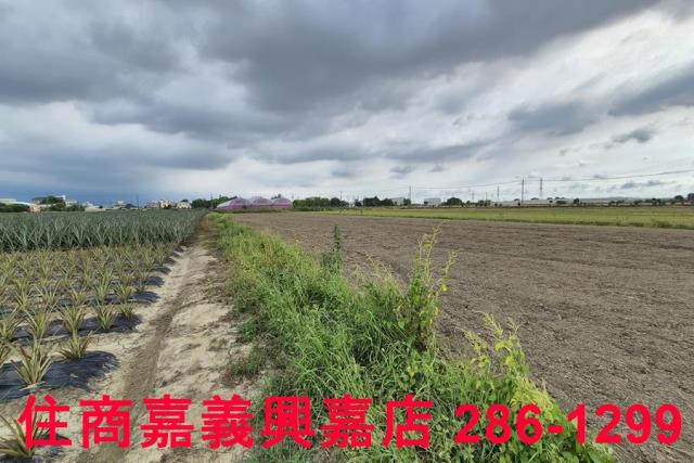 嘉義民雄農地-5