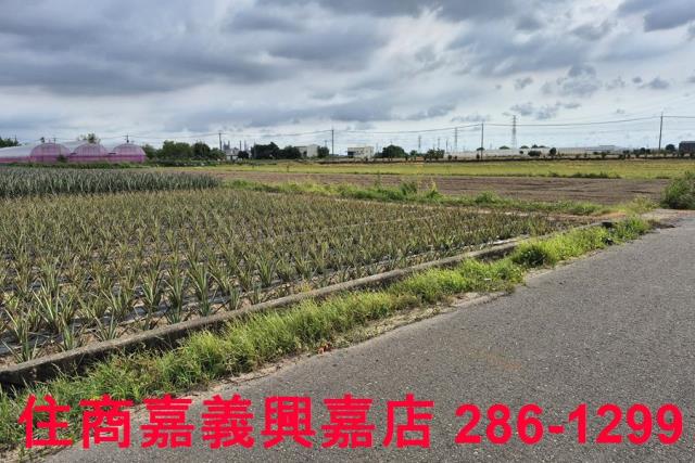 嘉義民雄農地-6