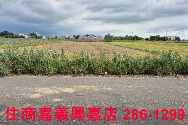 嘉義民雄農地-7