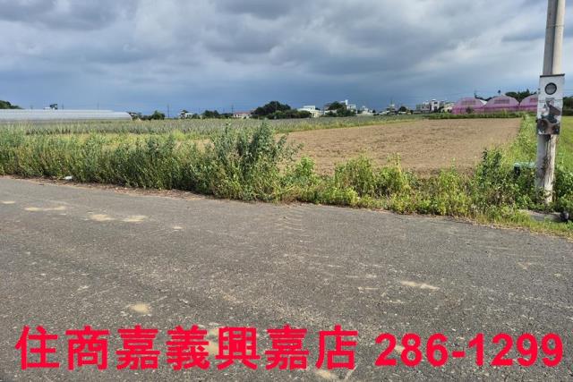 嘉義民雄農地-8