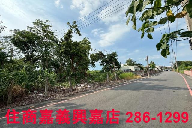 民雄農地-6