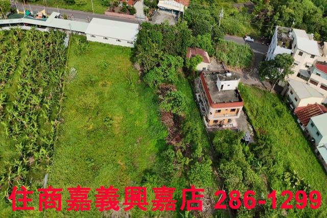 民雄農地-8