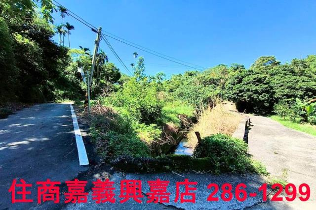 竹崎農地-9