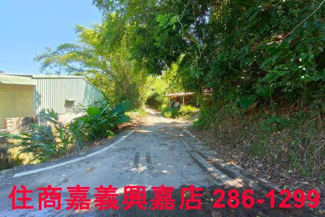 竹崎農地-10