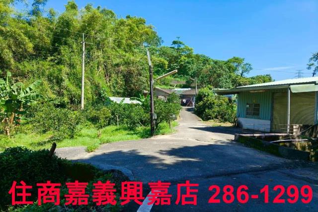 竹崎農地-0