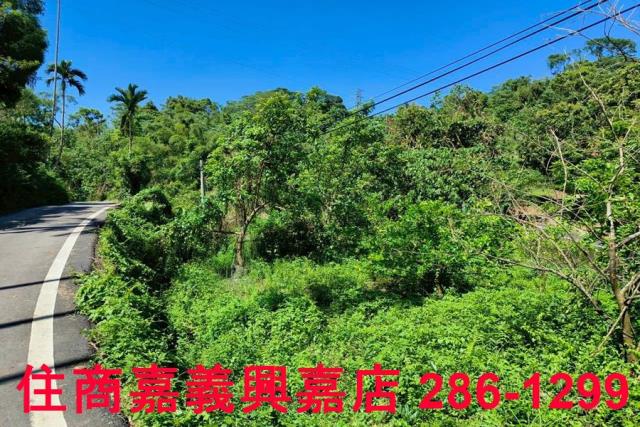 竹崎農地-1
