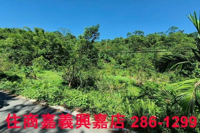 竹崎農地-2