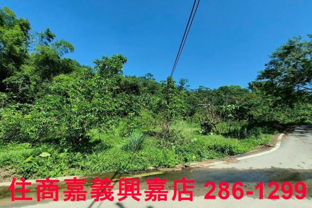 竹崎農地-3