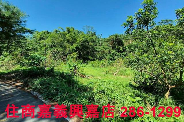 竹崎農地-4
