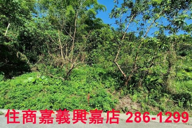 竹崎農地-6
