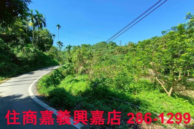 竹崎農地-7