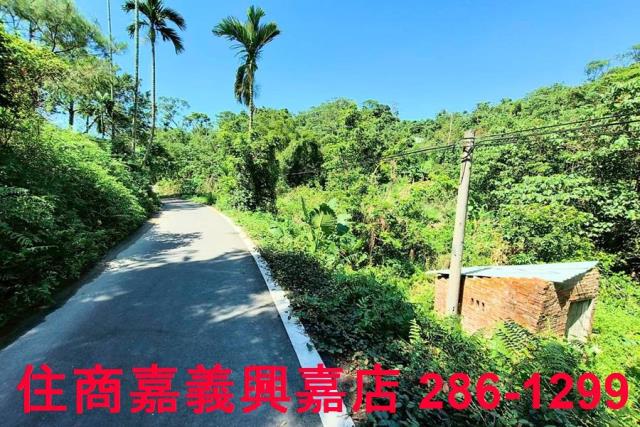 竹崎農地-8