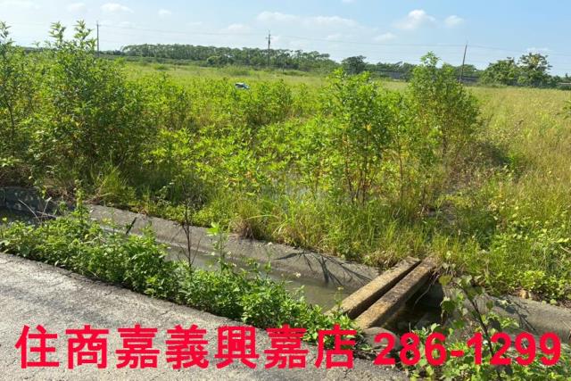 嘉義農地-4