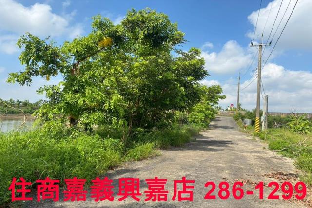 嘉義農地-8