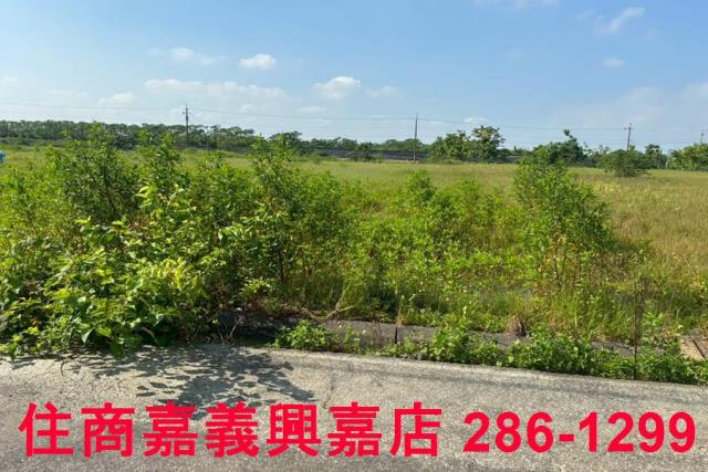 嘉義鹿草農地-3