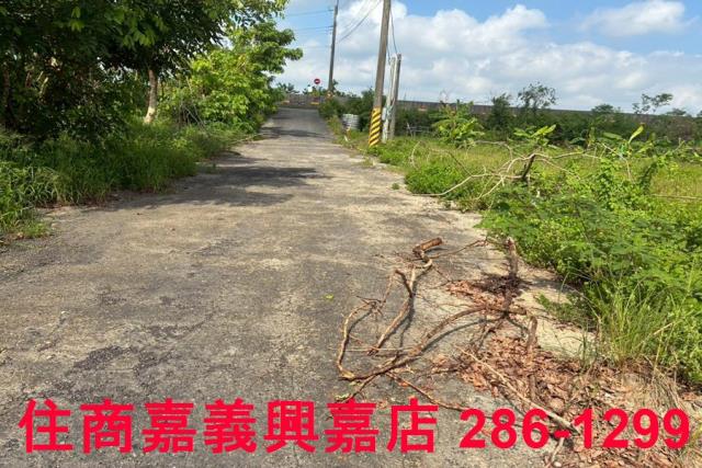 嘉義鹿草農地-4