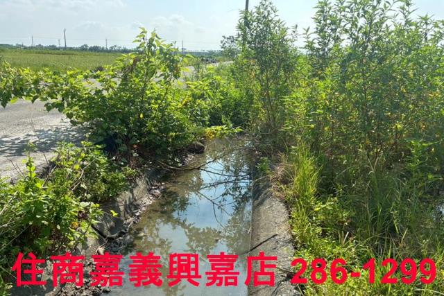 嘉義鹿草農地-6