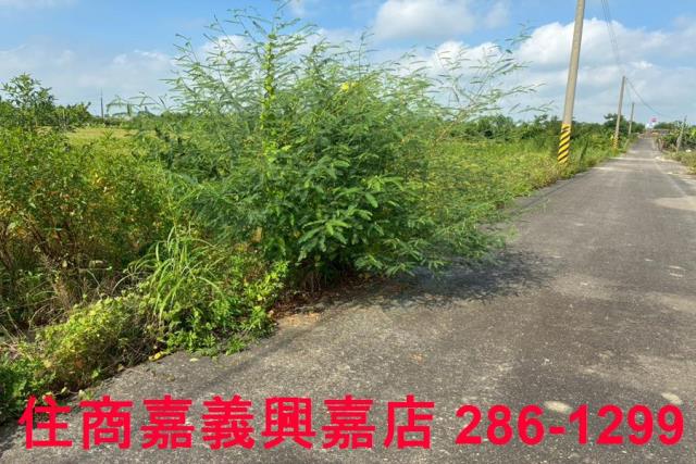 嘉義鹿草農地-8
