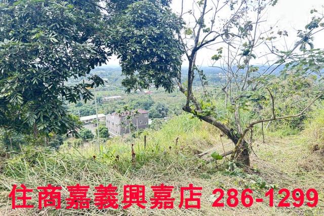 嘉義番路農地-9