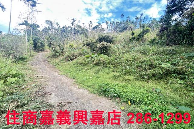 嘉義番路農地-2