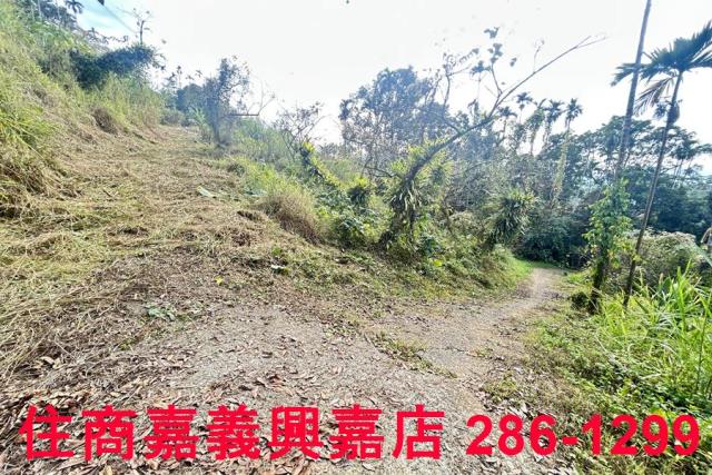 嘉義番路農地-3