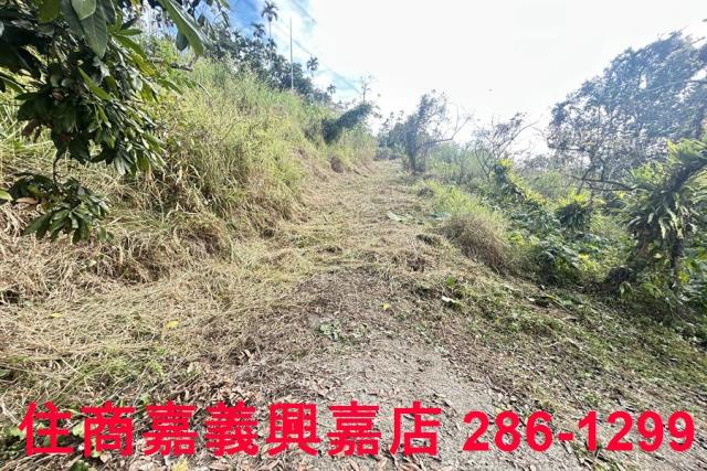 嘉義番路農地-4