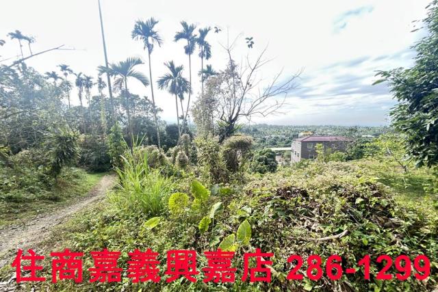 嘉義番路農地-5