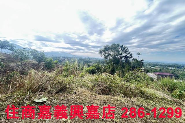 嘉義番路農地-6