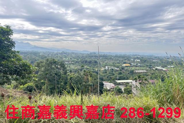 嘉義番路農地-7