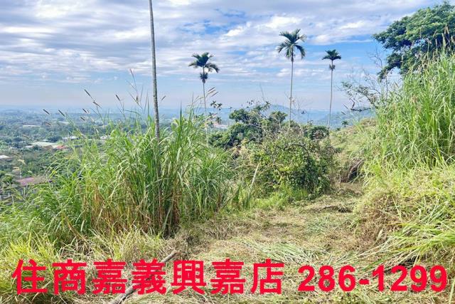 嘉義番路農地-8